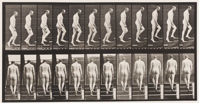 Talíř 89. Vzestupné schody od Eadweard Muybridge
