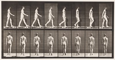 Talíř 8. Chůze od Eadweard Muybridge