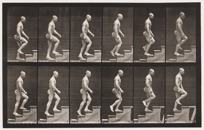Talíř 91. Vzestupné schody od Eadweard Muybridge