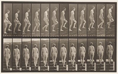 Talíř 92. Vzestupné schody od Eadweard Muybridge