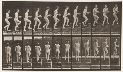 Talíř 94. Vzestupné schody Rozhlížení se; Umyvadlo v rukou od Eadweard Muybridge
