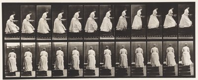 Talíř 95. Vzestupné schody, Umyvadlo v rukou, 1885 od Eadweard Muybridge