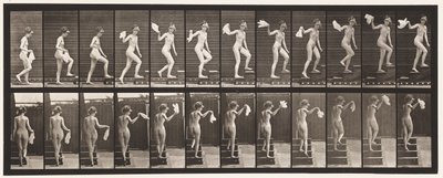 Talíř 96. Vzestupné schody Rozhlížení se; Vlající kapesník od Eadweard Muybridge