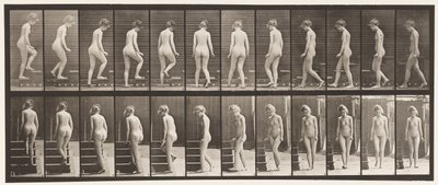 Deska 98. Otočné a stoupající schody, 1872-1885 od Eadweard Muybridge
