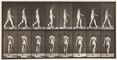 Talíř 9. Chůze, 1872-1885 od Eadweard Muybridge