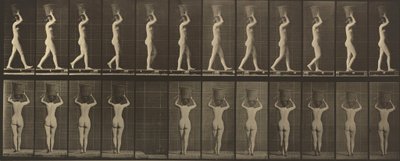 Číslo desky 34. Kráčející a nesoucí na hlavě 15librový koš, ruce zdvižené, 1887 (foto) od Eadweard Muybridge