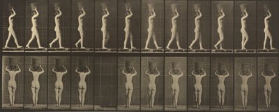Talíř číslo 34. Chůze a nošení 15-lb. košík na hlavě, ruce zvednuté od Eadweard Muybridge