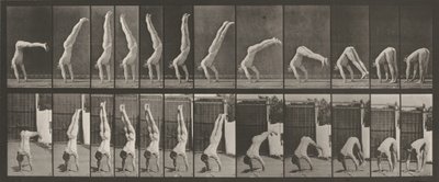 Deska číslo 371. Acrobat, vertikální "lisování",1887 (foto) od Eadweard Muybridge