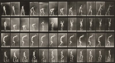 Tabule číslo 488. A: Tenis na trávě. B: Činky. C: Chůze po rukou. D: Chůze do schodů od Eadweard Muybridge