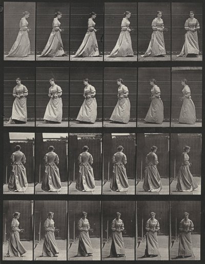 Tabule číslo 48. Chůze a otáčení s kyticí v obou rukou od Eadweard Muybridge