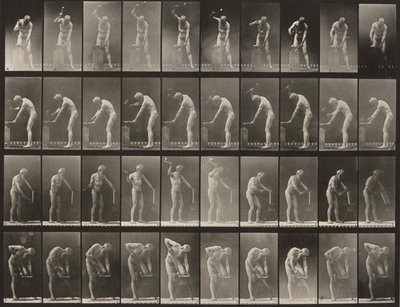 Tabule číslo 491. A, B: Kování na kovadlině. C: Použití sekyrky. D: Řezání prkna od Eadweard Muybridge
