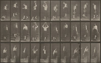 Číslo desky 504. Vzestupné a sestupné schody od Eadweard Muybridge