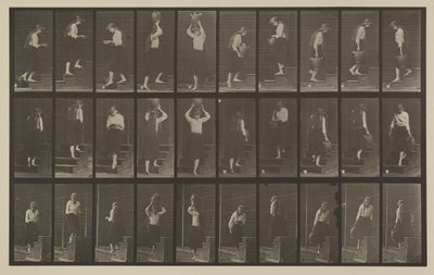 Číslo desky 504. Vzestupné a sestupné schody od Eadweard Muybridge
