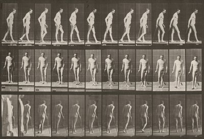 Tabule číslo 559. Částečná paraplegie, chůze s holí od Eadweard Muybridge