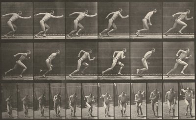  od Eadweard Muybridge