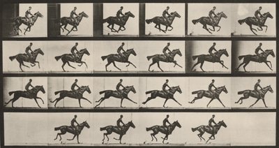 Tabulka číslo 625. „Bouquet“ v cvalu od Eadweard Muybridge