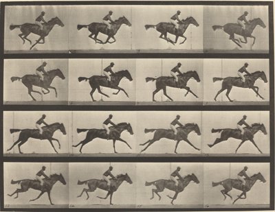Číslo talíře 626. Cval, plnokrevná klisna hnědáka, Annie G. od Eadweard Muybridge