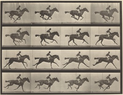 Tabule číslo 626. Cval, plnokrevná hnědka, Annie G. od Eadweard Muybridge
