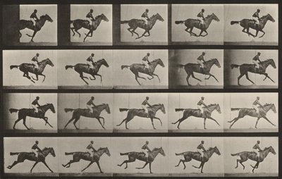 Tabulka číslo 627. „Annie G.“ ve cvalu od Eadweard Muybridge