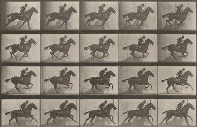 Tabulka číslo 628. „Daisy“ ve cvalu od Eadweard Muybridge