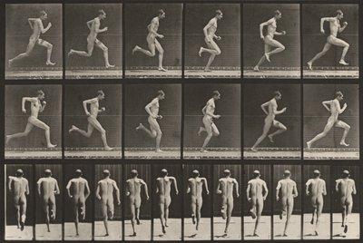Tabulka číslo 62. Běh plnou rychlostí od Eadweard Muybridge