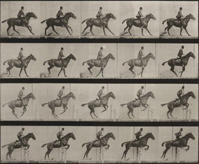 Deska číslo 636. „Daisy“ skáče přes překážku, osedlaná, připravuje se ke skoku od Eadweard Muybridge