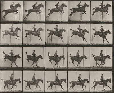 Tabule číslo 637. „Daisy“ skáče přes překážku, osedlaná, při překonávání, dopadu a zotavení od Eadweard Muybridge