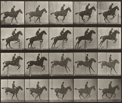 Tabulka číslo 639. „Daisy“ skáče přes překážku, osedlaná od Eadweard Muybridge