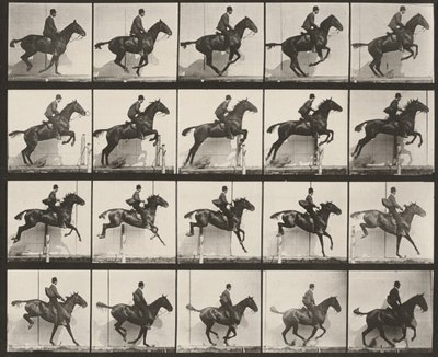 Tabulka číslo 640. „Daisy“ skáče přes překážku, osedlaná od Eadweard Muybridge