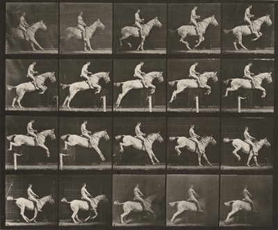 Tabulka číslo 642. „Pandora“ skáče přes překážku, osedlaná; jezdec nahý od Eadweard Muybridge
