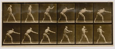 Pugilist Striking a Blow, z knihy Animal Locomotion (Pohyb zvířat) od Eadweard Muybridge