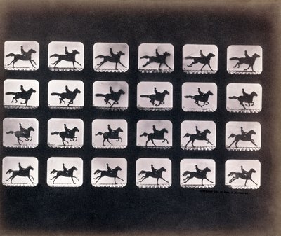 Běh (Cval) od Eadwearda J. Muybridge od Eadweard Muybridge