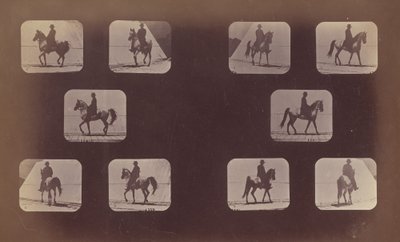Studie foreshorteningů. Koně. Chůze. Mahomet. č. 119-120 od Eadweard Muybridge