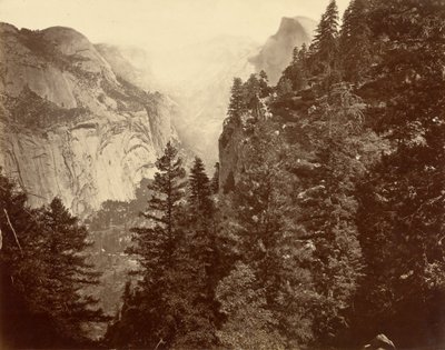 Tenaya Canyon z Union Point, Valley of the Yosemite od Eadweard Muybridge