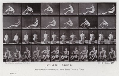 Lidská postava v pohybu: Sportovec, Veslování (č/b foto) od Eadweard Muybridge