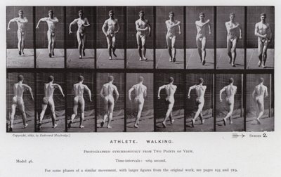 Lidská postava v pohybu: Sportovec, chůze (č/b foto) od Eadweard Muybridge