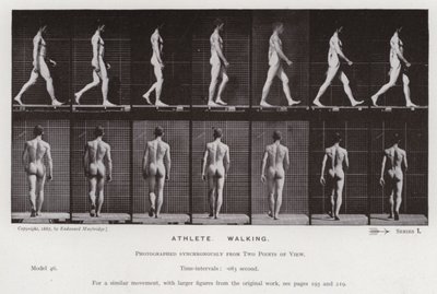Lidská postava v pohybu: Sportovec, chůze (č/b foto) od Eadweard Muybridge