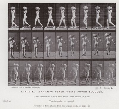 Závěsný od Eadweard Muybridge