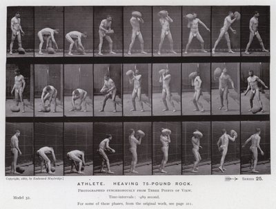 Lidská postava v pohybu: Sportovec, zvedající 75librový kámen od Eadweard Muybridge