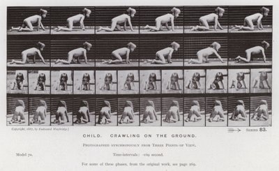 Lidská postava v pohybu: Dítě, plazící se po zemi od Eadweard Muybridge
