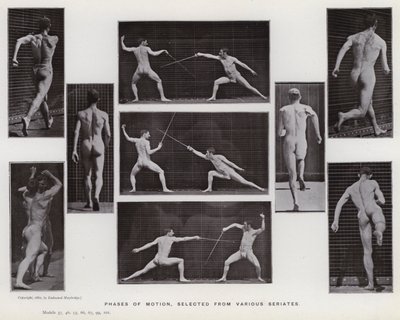 Lidská postava v pohybu: Fáze pohybu, vybrané z různých sérií (černobílá fotografie) od Eadweard Muybridge