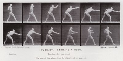 Lidská postava v pohybu: Pugilista, zasadil ránu (č/b foto) od Eadweard Muybridge