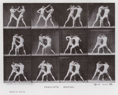 Lidská postava v pohybu: Pugilists, Box (č/b foto) od Eadweard Muybridge