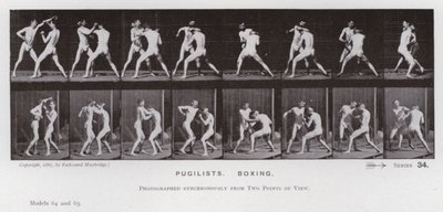 Lidská postava v pohybu: Pugilists, Box (č/b foto) od Eadweard Muybridge