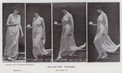 Závěsný od Eadweard Muybridge