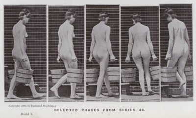 Lidská postava v pohybu: Vybrané fáze ze série 43 (černobílá fotografie) od Eadweard Muybridge