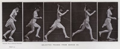 Lidská postava v pohybu: Vybrané fáze ze série 54 (černobílá fotografie) od Eadweard Muybridge