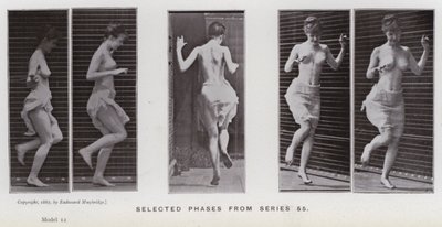 Lidská postava v pohybu: Vybrané fáze ze série 55 (černobílá fotografie) od Eadweard Muybridge
