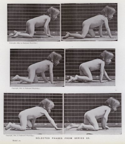 Lidská postava v pohybu: Vybrané fáze ze série 83 (černobílá fotografie) od Eadweard Muybridge