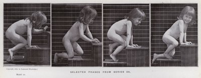 Lidská postava v pohybu: Vybrané fáze ze série 86 (černobílá fotografie) od Eadweard Muybridge